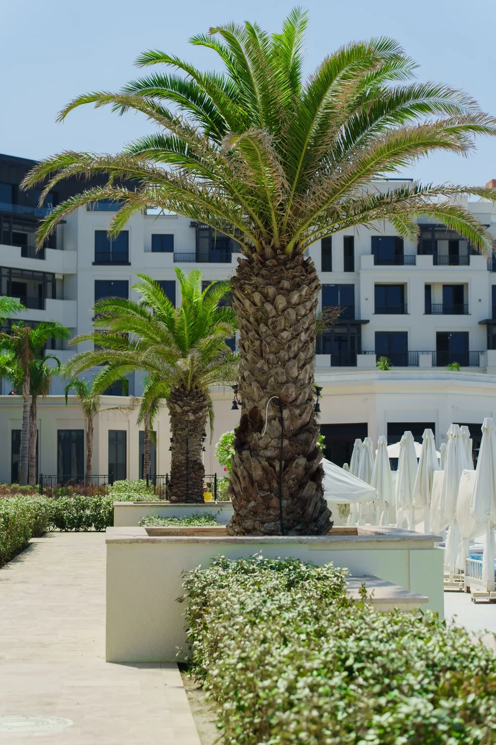 The inner courtyard